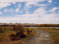 �ɿ�����������ӹ��ظ�������ϡ��ֲ��